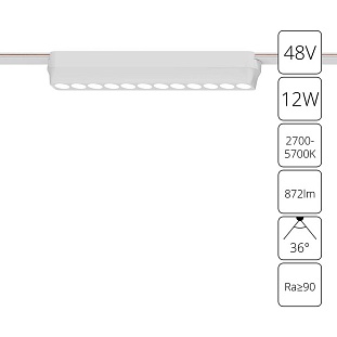 Трековый светильник ARTE LAMP RAPID A2954PL-1WH