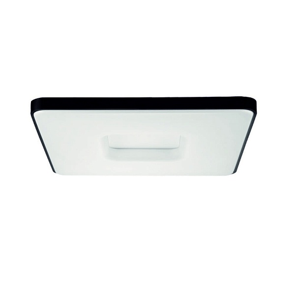 Светильник потолочный LUXOLIGHT PLATE LUX0300921