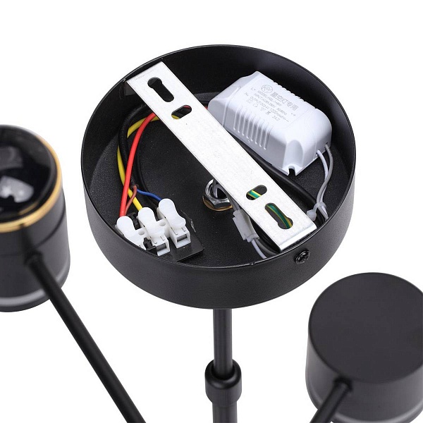 Люстра подвесная LUMION VIRSAVA 8234/6C
