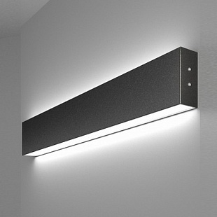 Светильник настенный ELEKTROSTANDARD 101-100-40-53 a042925