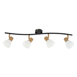Спот ARTE LAMP FALENA A3117PL-4BK