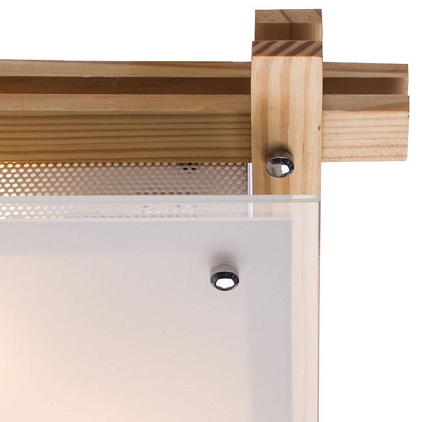 Светильник потолочный ARTE LAMP Archimede A6460PL-2BR