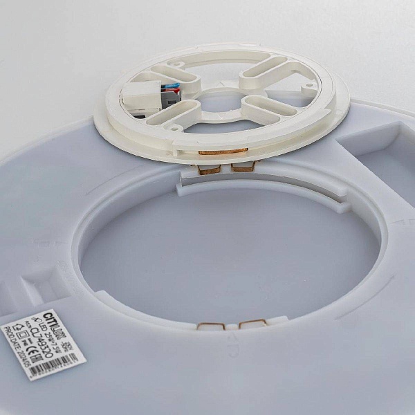 Светильник потолочный CITILUX NORMA CL749320
