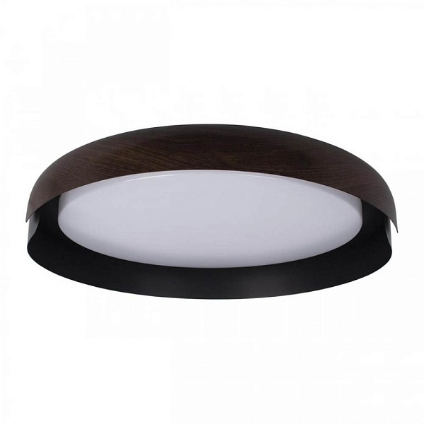 Светильник потолочный LOFT IT COIN 10198 Black