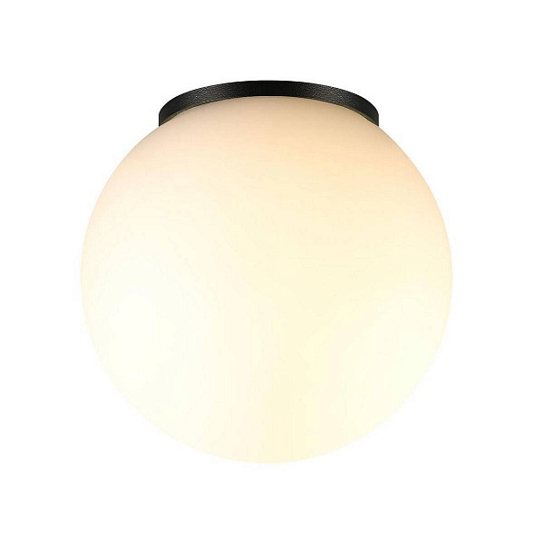 Светильник уличный потолочный ODEON LIGHT NATURE 7124/1C