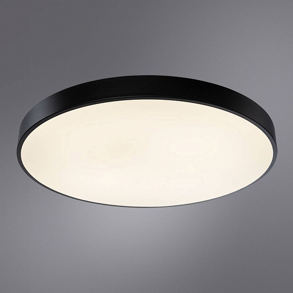 Светильник потолочный ARTE LAMP ARENA A2673PL-1BK