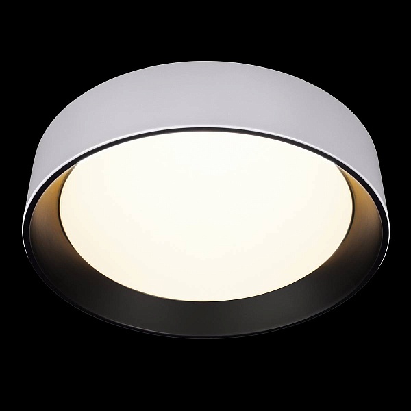 Светильник потолочный LOFT IT COIN 10202 WB