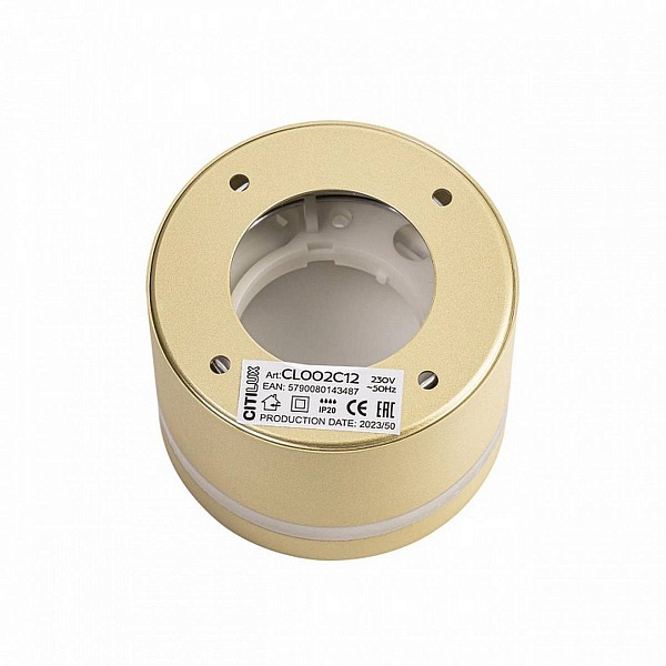 Спот CITILUX HARDY CL002C12