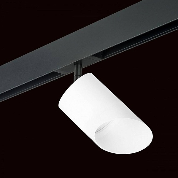 Трековый светильник LIGHTSTAR RULLO PRO348686