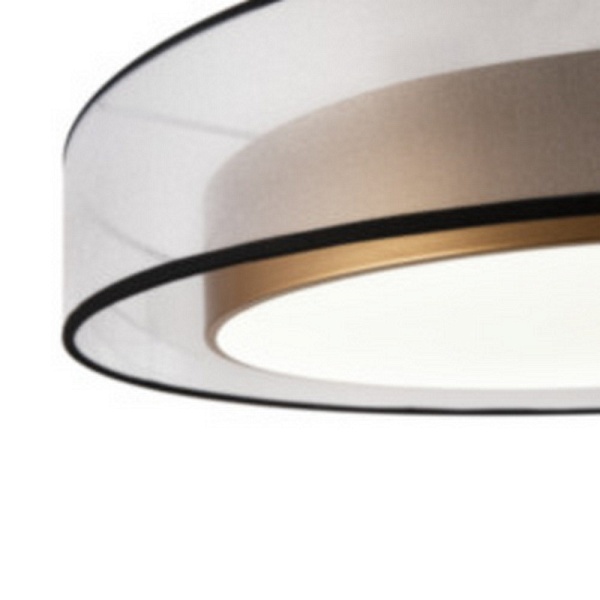 Светильник потолочный FREYA ZOTICUS FR6005CL-L48G