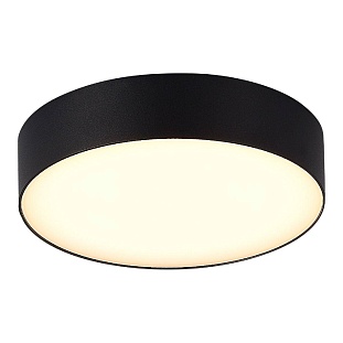 Светильник уличный потолочный ST LUCE SUN SL9518.402.01