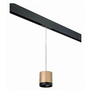 Трековый светильник LIGHTSTAR RULLO PRORP34903487