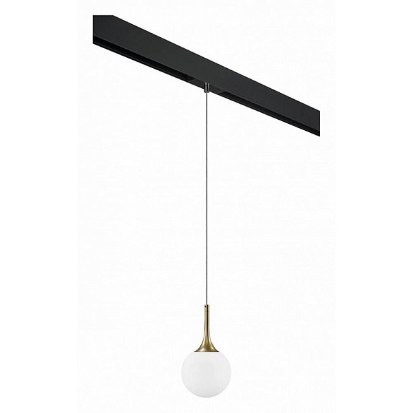Трековый светильник LIGHTSTAR GLOBO PRO813013
