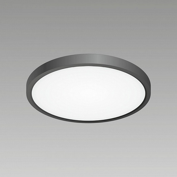 Светильник потолочный CITILUX БЕЙСИК CL738241V