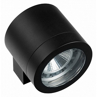 Светильник уличный настенный LIGHTSTAR PARO 350617