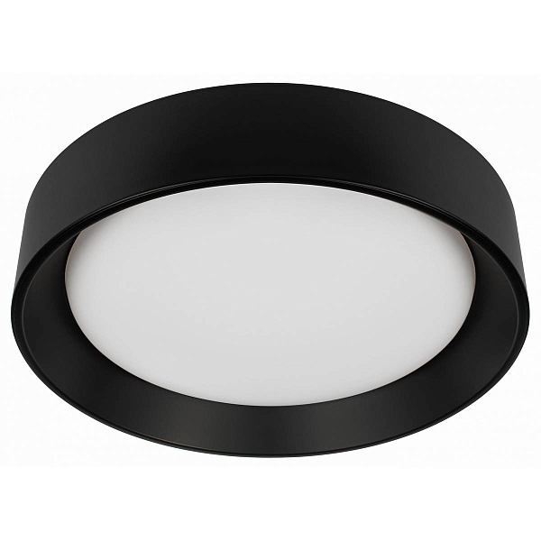 Светильник потолочный LOFT IT COIN 10202 BB