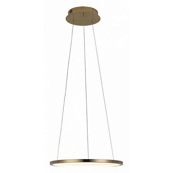 Подвес LOFT IT RING 10014S