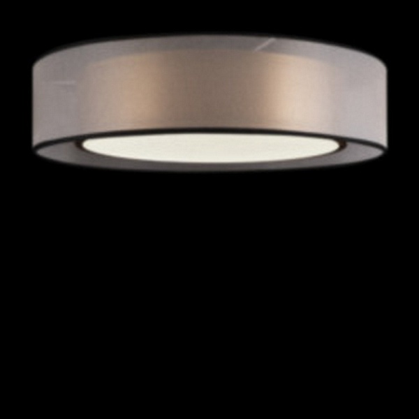 Светильник потолочный FREYA ZOTICUS FR6005CL-L36G