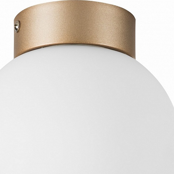 Светильник потолочный LIGHTSTAR GLOBO 812013