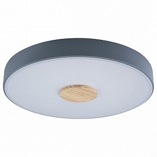 Светильник потолочный LOFT IT AXEL 2 10003/24 Grey