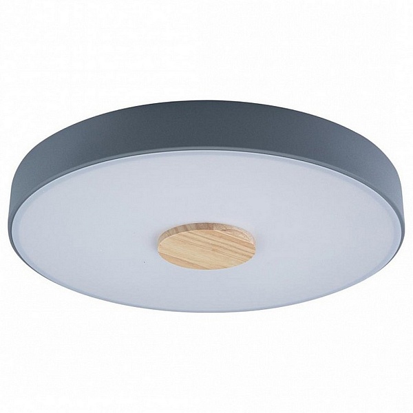 Светильник потолочный LOFT IT AXEL 2 10003/24 Grey