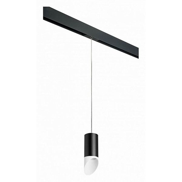 Трековый светильник LIGHTSTAR RULLO PRORP43736