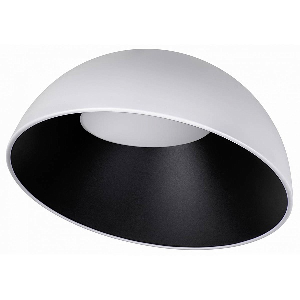 Светильник потолочный LOFT IT EGG 10197/500 WB