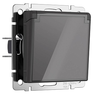 Розетка с з/к со шторками, с крышкой, графит, W1171244, WERKEL