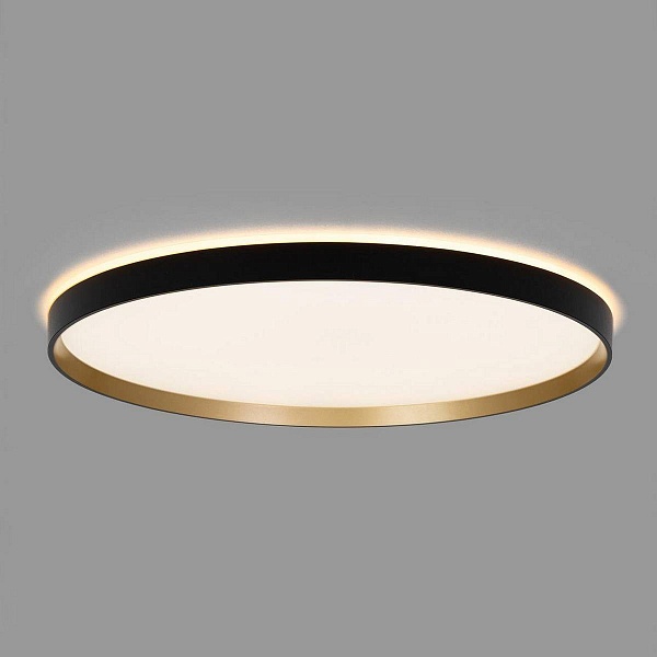 Светильник потолочный CITILUX ETALON CL750501R