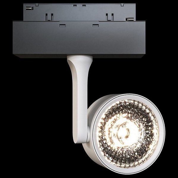 Трековый светильник MAYTONI OKO TR024-2-10W3K