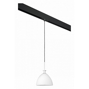 Трековый светильник LIGHTSTAR AGOLA PRO810020