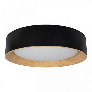 Светильник потолочный LOFT IT COIN 10202 Black