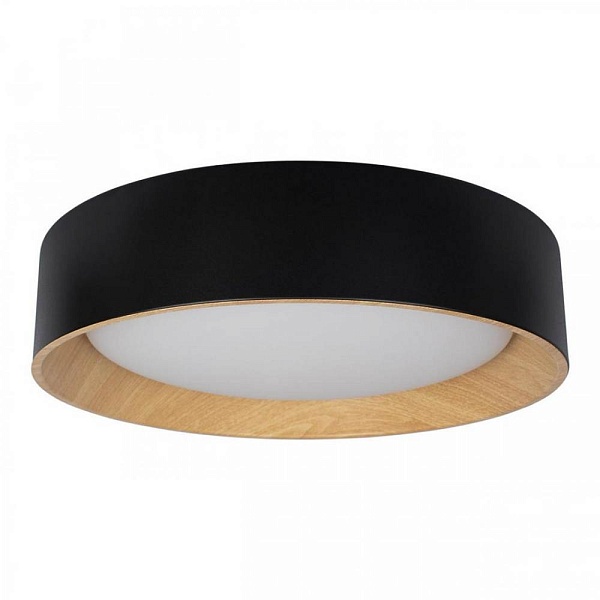 Светильник потолочный LOFT IT COIN 10202 Black