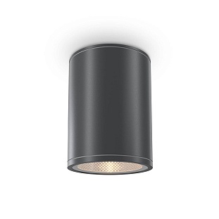 Светильник уличный потолочный MAYTONI BAR O306CL-L7GF
