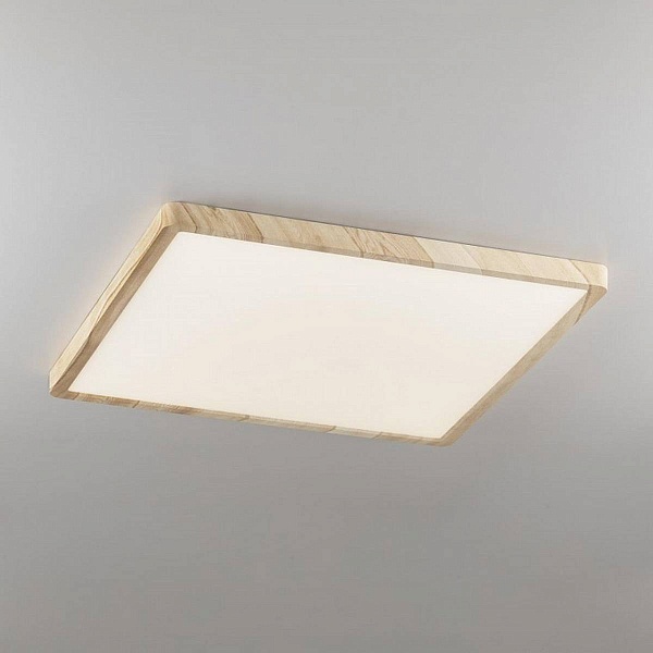 Светильник потолочный CITILUX БЕЙСИК CL738K502V