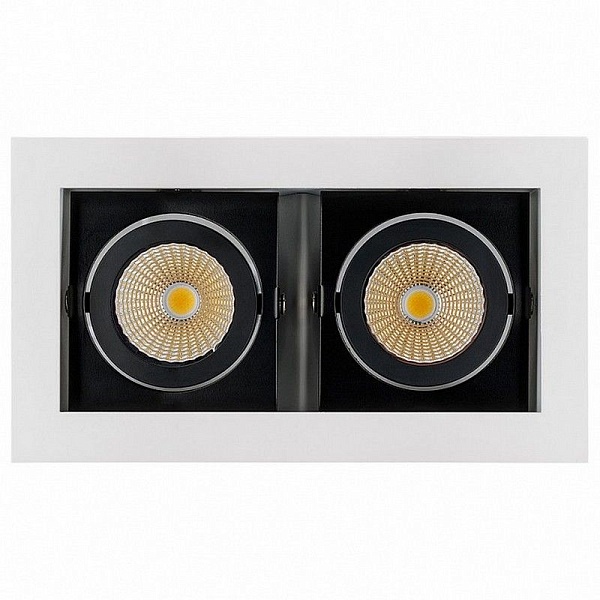Светильник встраиваемый ARLIGHT CL-KARDAN-S180x102-2x9W Day (WH-BK, 38 deg) 024129