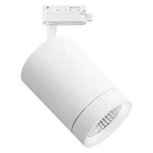 Трековый светильник LIGHTSTAR CANNO 303262