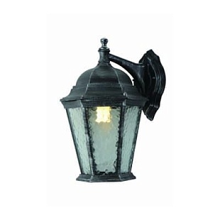 Светильник уличный настенный ARTE LAMP Genova A1202AL-1BS