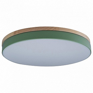 Светильник потолочный LOFT IT AXEL 10001/36 Green