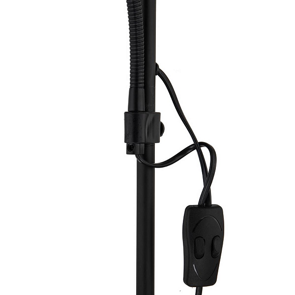 Торшер ARTE LAMP DUETTO A9569PN-2BK