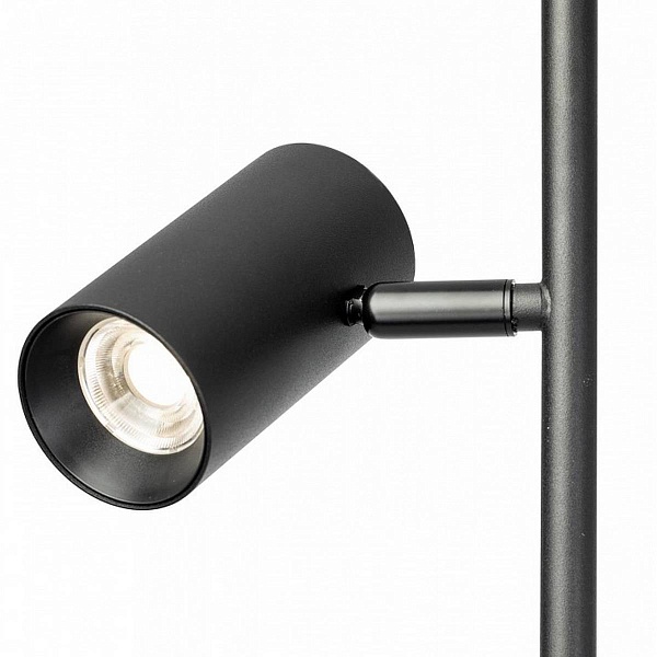 Торшер CITILUX TWIN CL809011N