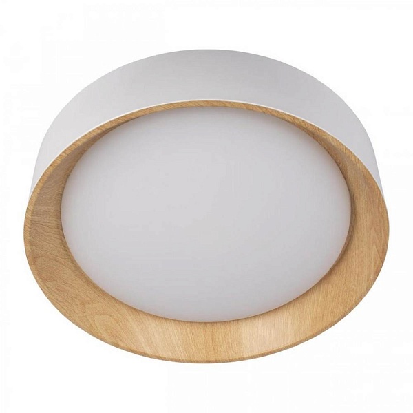 Светильник потолочный LOFT IT COIN 10202 White
