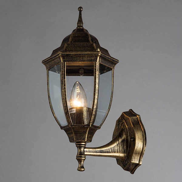 Светильник уличный настенный ARTE LAMP Pegasus A3151AL-1BN