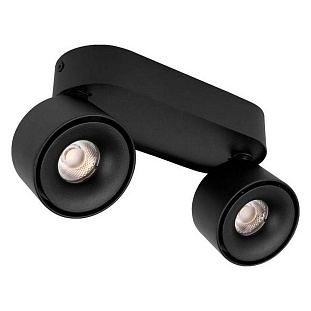 Спот LOFT IT FOCUS 10323/2A Black