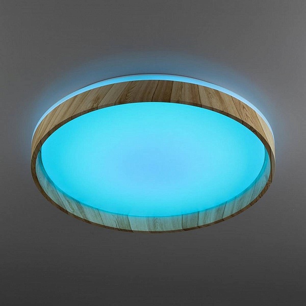 Светильник потолочный CITILUX ENZO CL753452G